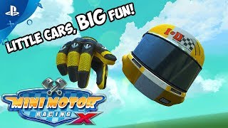 Mini Motor Racing X